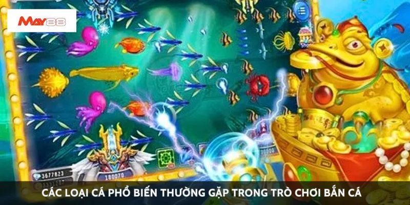 Các loại cá phổ biến thường gặp trong trò chơi bắn cá