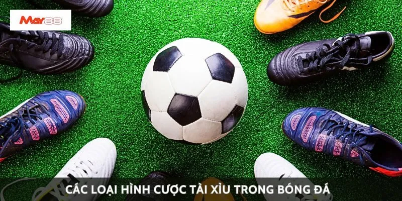 Các loại hình cược tài xỉu trong bóng đá