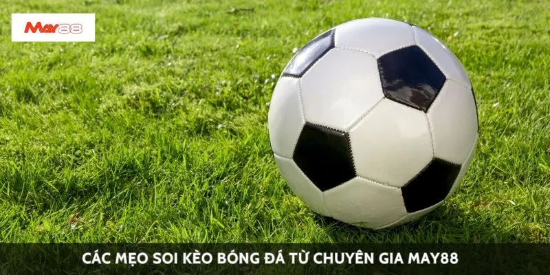 Các mẹo soi kèo bóng đá từ chuyên gia May88