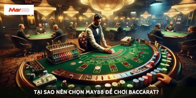 Tại sao nên chọn May88 để chơi baccarat?