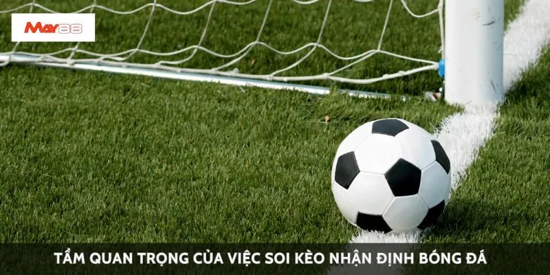 Tầm quan trọng của việc soi kèo nhận định bóng đá